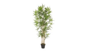 Декоративно растение BAMBOO H155CM Bizzotto - 1 - Stolbg.com