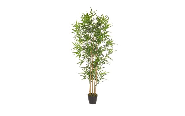 Декоративно растение BAMBOO H155CM Bizzotto - 1 - Stolbg.com