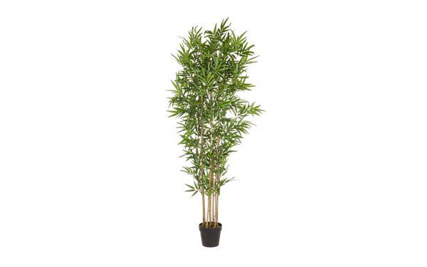 Декоративно растение BAMBOO H185CM Bizzotto - 1 - Stolbg.com